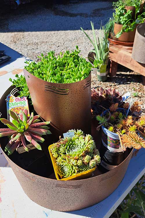 herb spiral garden