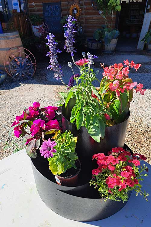 herb spiral garden